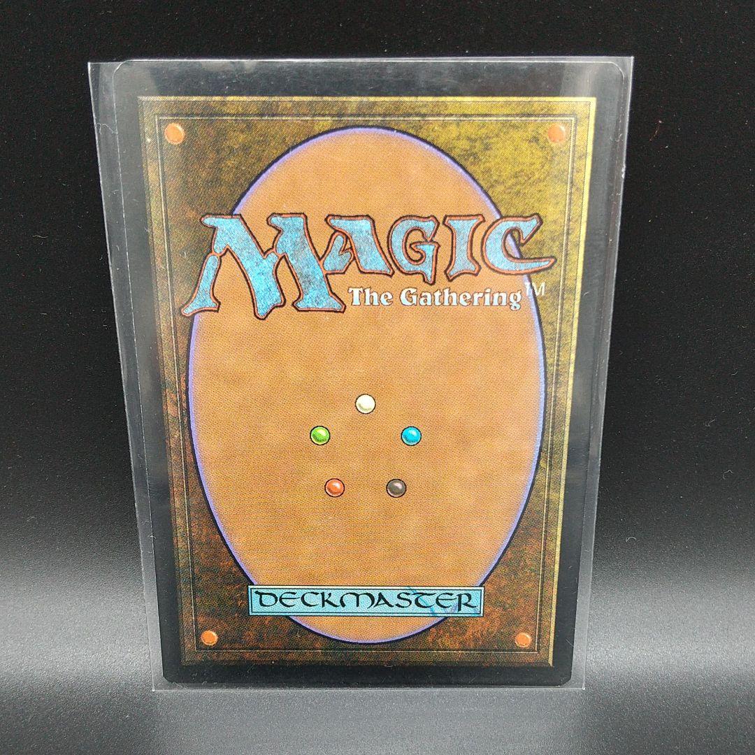 【美品】黄道の龍/zodiac dragon