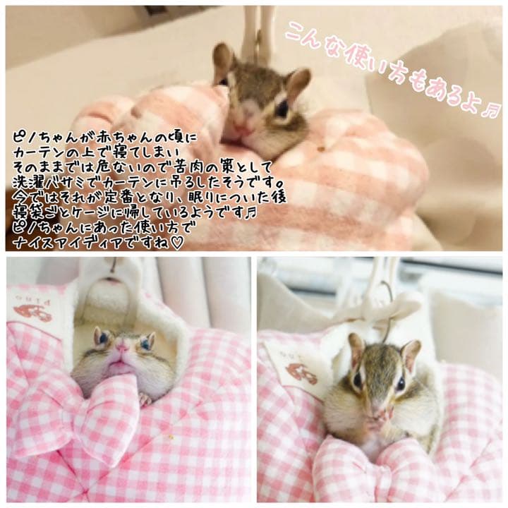 〜サンプル画像〜