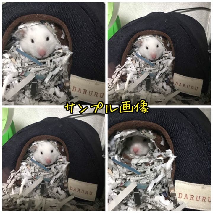 〜サンプル画像〜