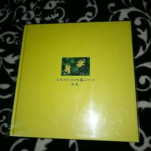 ひなたにユメを散らかして(Aqua Timez、太志)