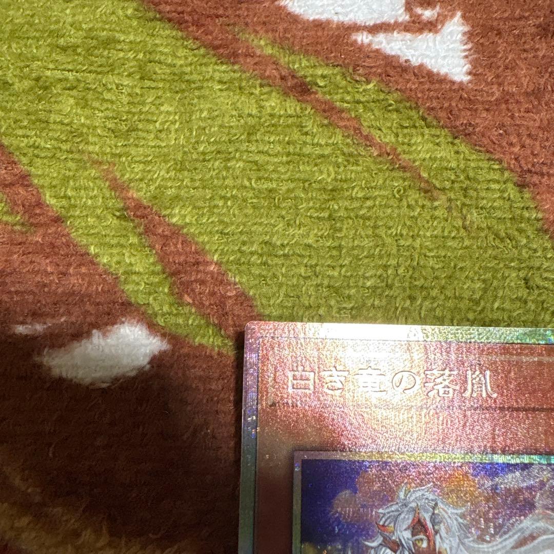 白き竜の落胤　プリシク