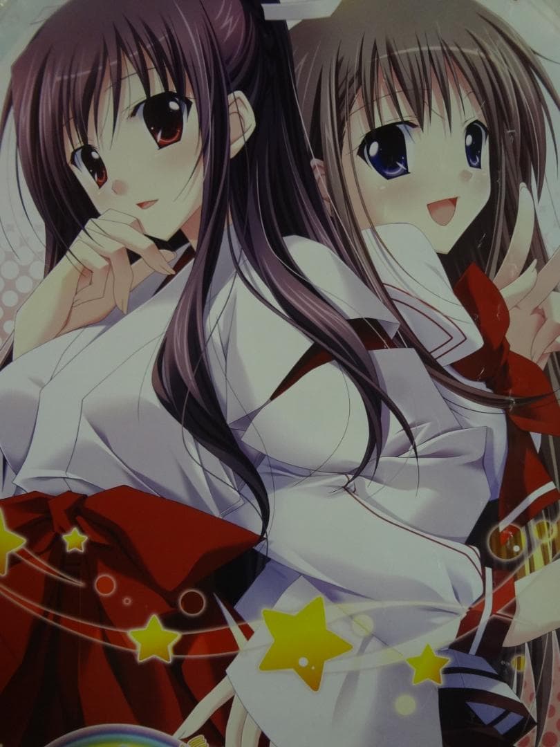 プリ☆さら 〜ドキドキ×らぶらぶWファンディスク      販促非売品ポスター