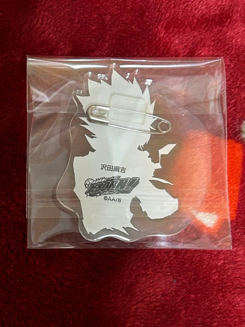 家庭教師ヒットマンREBORN 沢田綱吉 アクリルバッジ