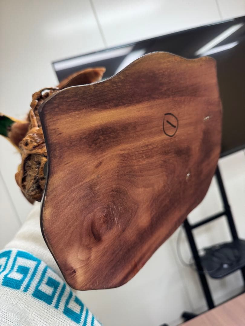 淡*雪様 鳥の標本 極楽鳥　インドネシア　剥製