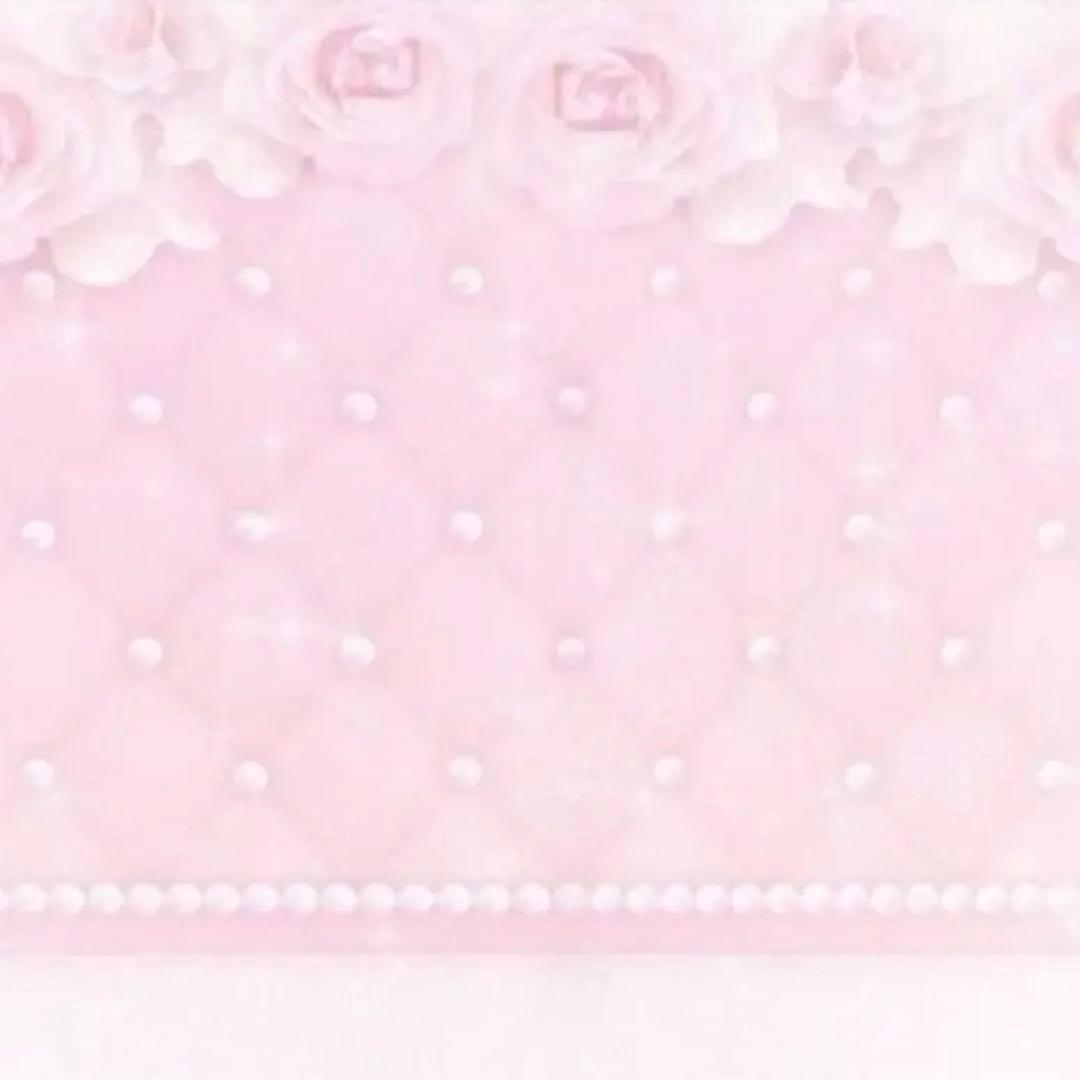 ヌメラ ページ（x23）