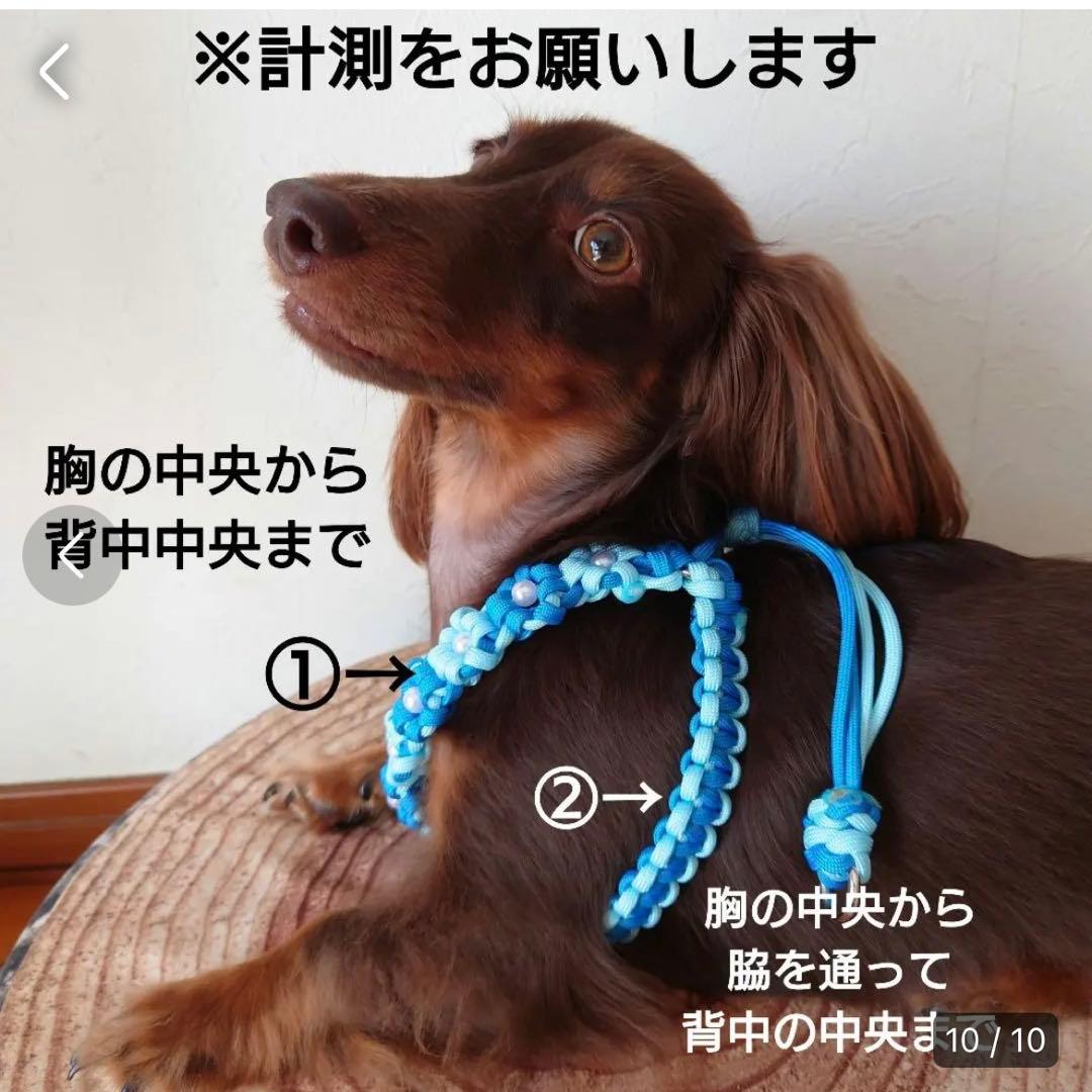 【完成品】パラコードハーネス　ひまわり　No.0147