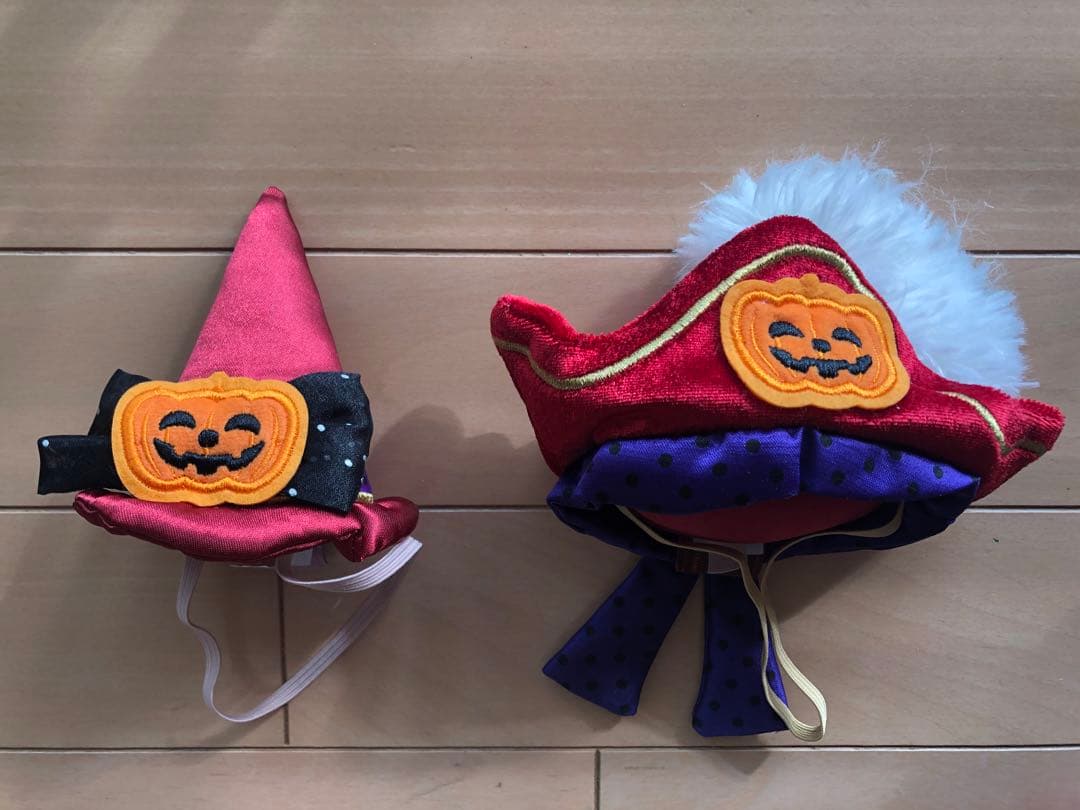 TDS 2016 ハロウィン　コスチューム　ダッフィ　シェリーメイ