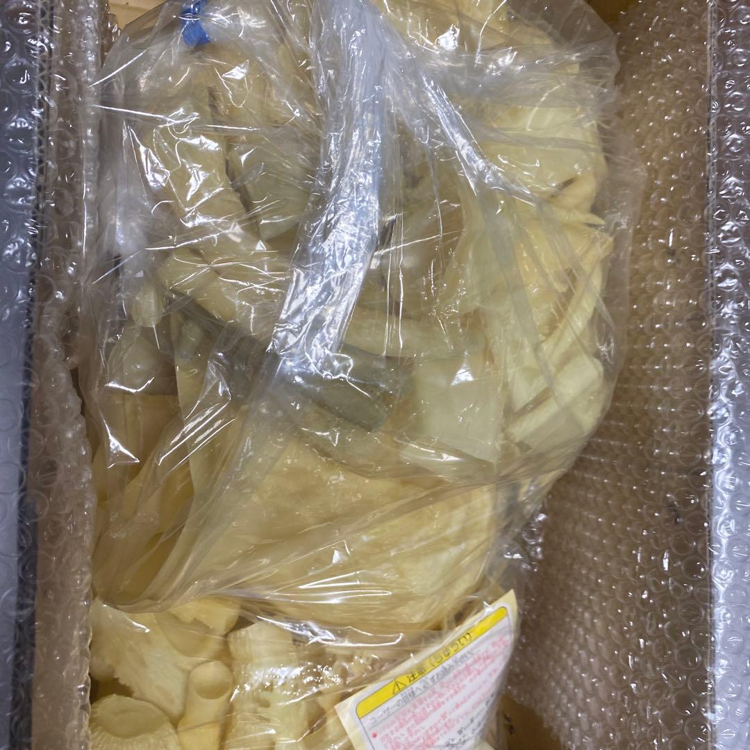 ビオランテ ソフトビニールキット 1989年