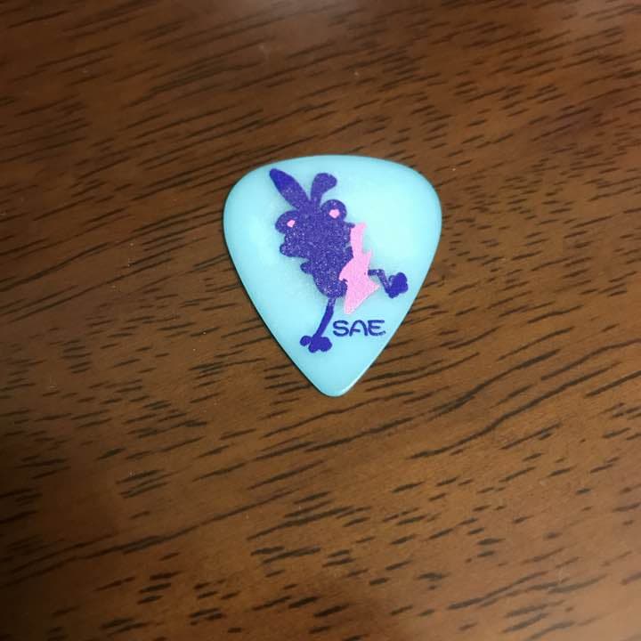 BanG Dream! バンドリ！Poppin'Party 大塚紗英 ピック