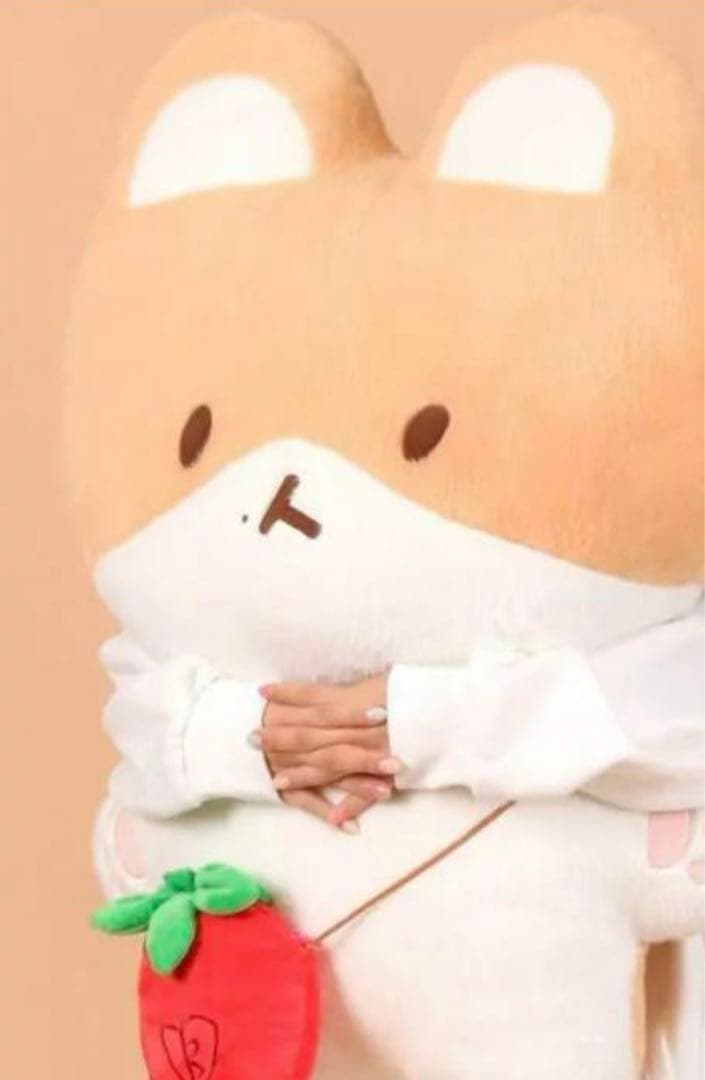 exo ベッキョン トレギ