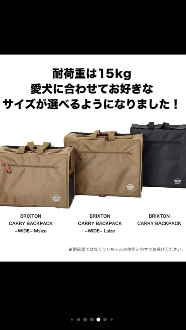 BRIXTON CARRY BACKPACK ブリクストンキャリーバックパック