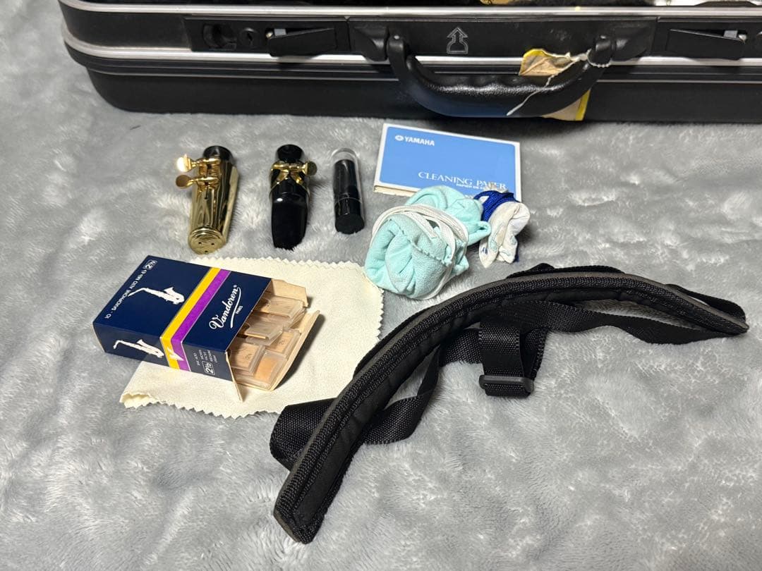 美品 トレバージェイムス アルトサックス THE HORN Revolution