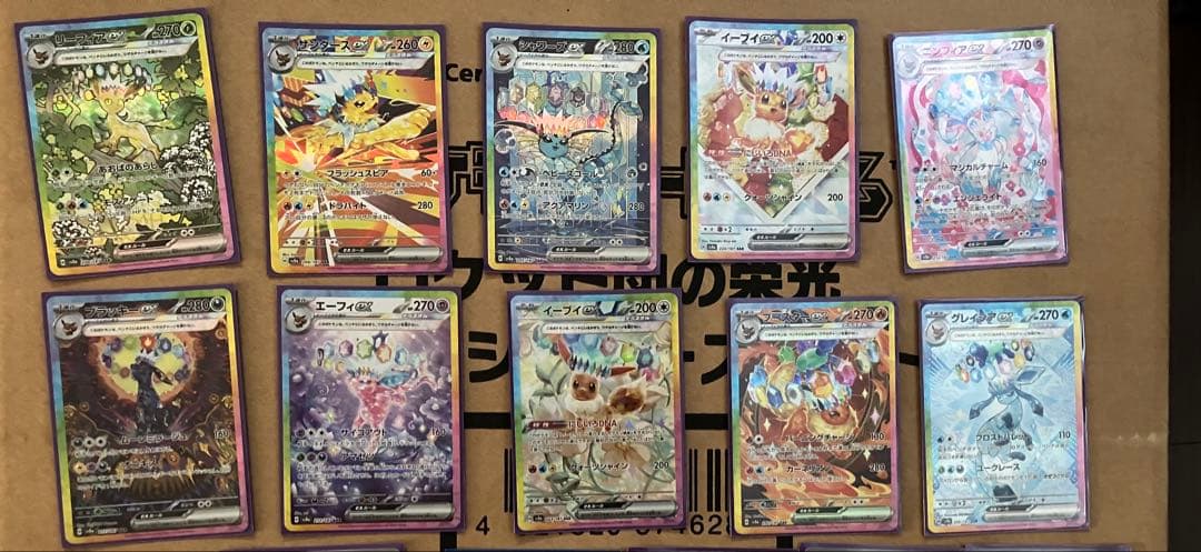 テラスタルフェス ブイズSAR１０枚セット