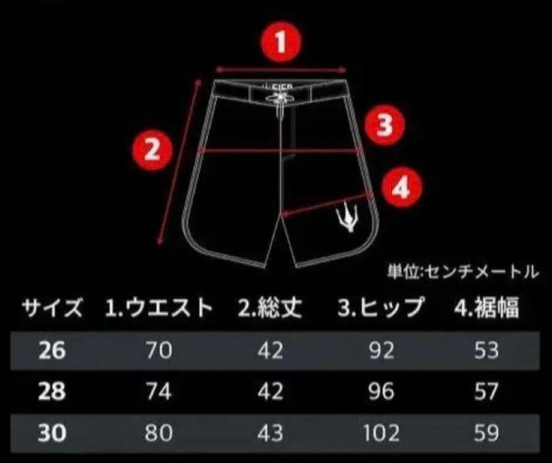 FIED ファイド サーフパンツ 30 水着　ホワイトストライプ　フィジーク