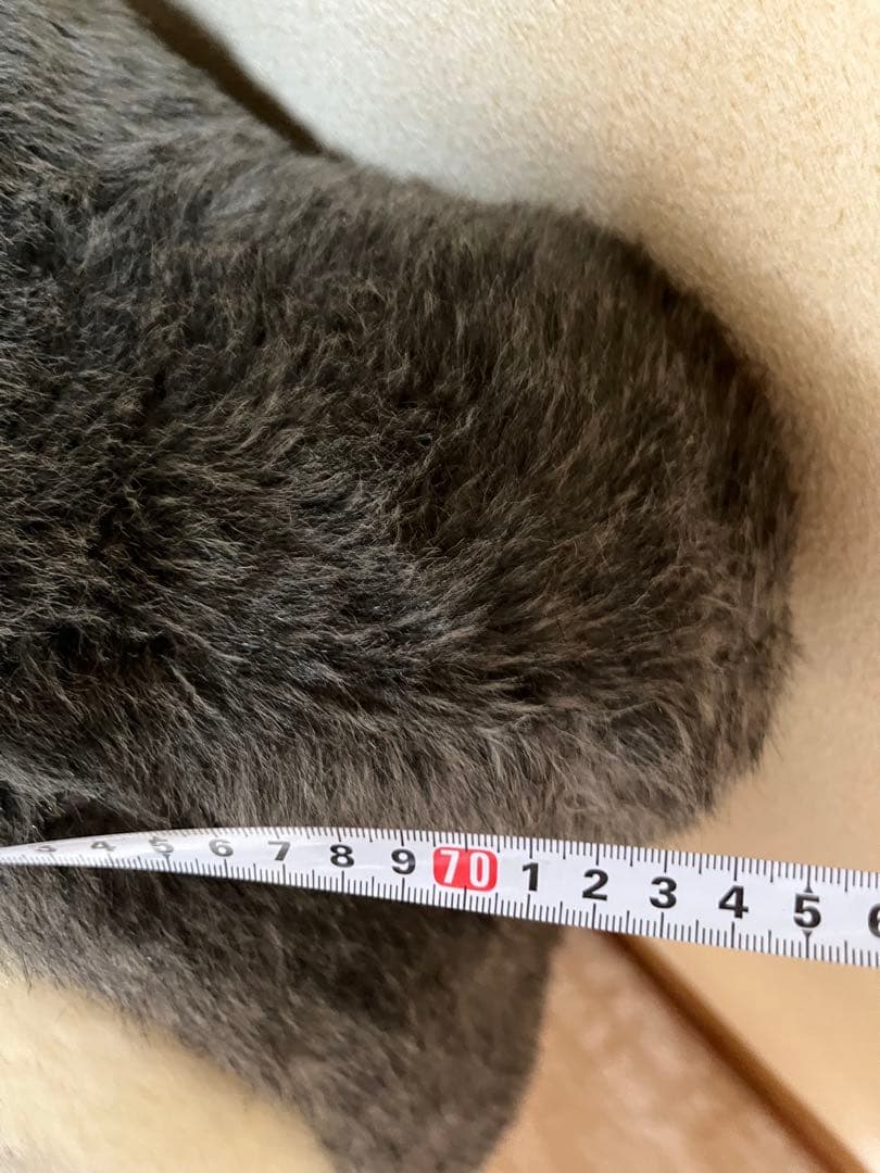 トトロ 巨大ぬいぐるみ