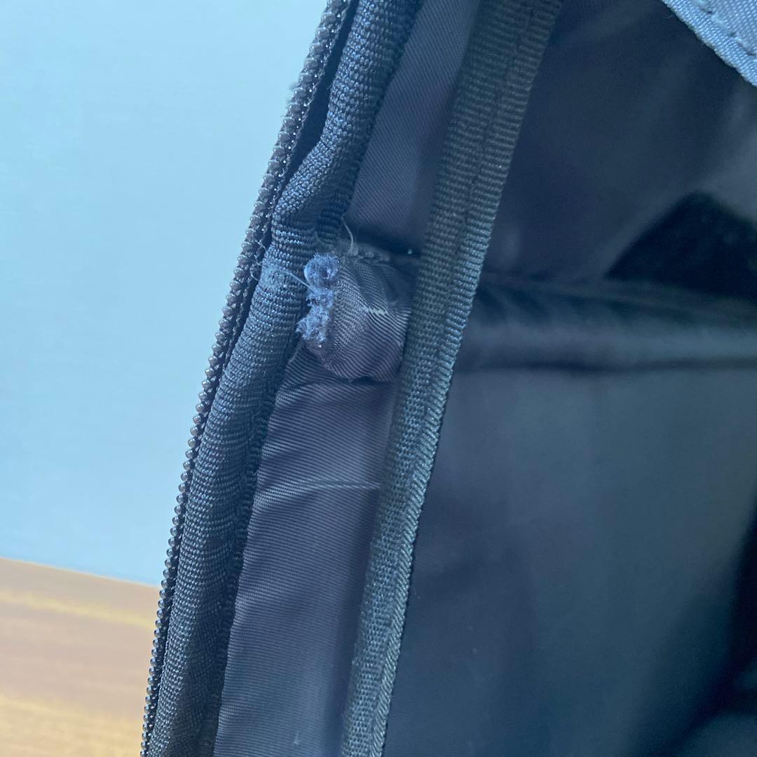 ペットパラダイス スヌーピー 小型犬用 折り畳みキャリーバッグ 犬用スリング