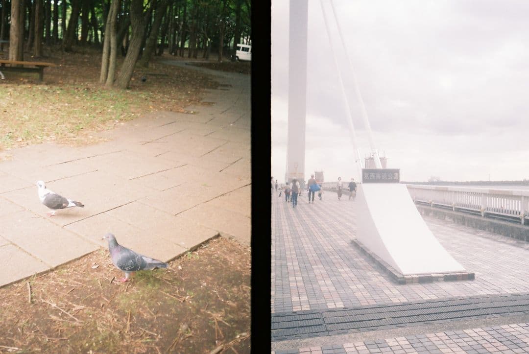 フィルムカメラ OLYMPUS PEN EE-2