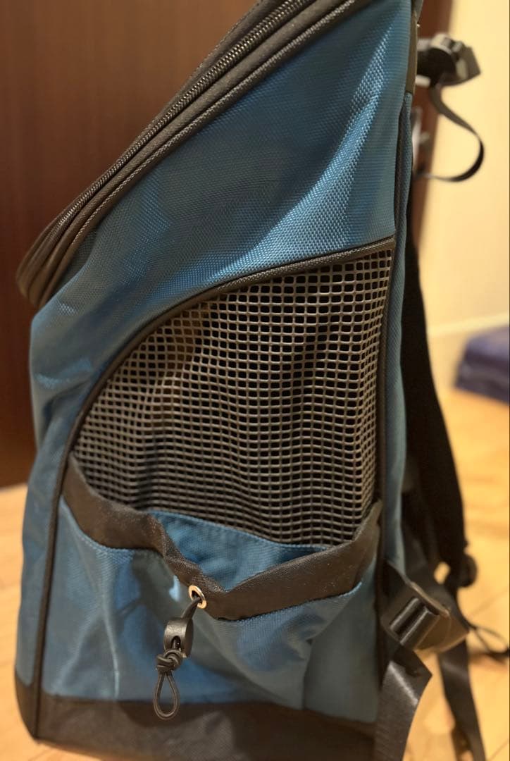 ⭐︎ビッケロ⭐︎【Lifelike】災害時の備えに。 バックパックキャリー⭐︎