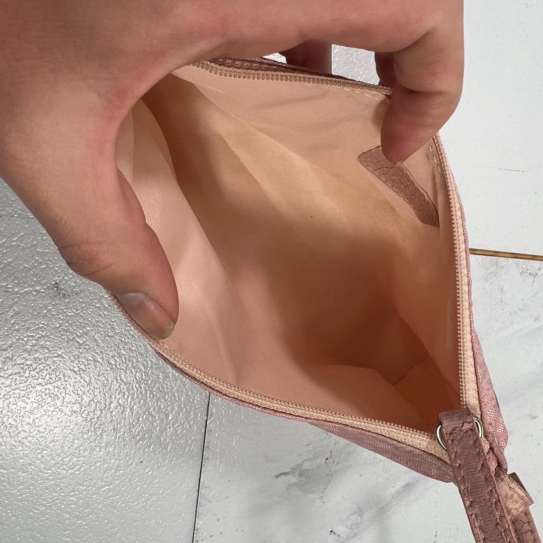 Christian Dior ディオール ハンドバッグ ポーチ トロッター 総柄