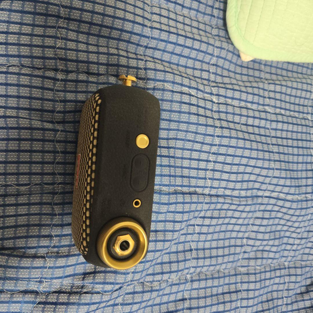 Positive Grid アンプ本体 コンパクト