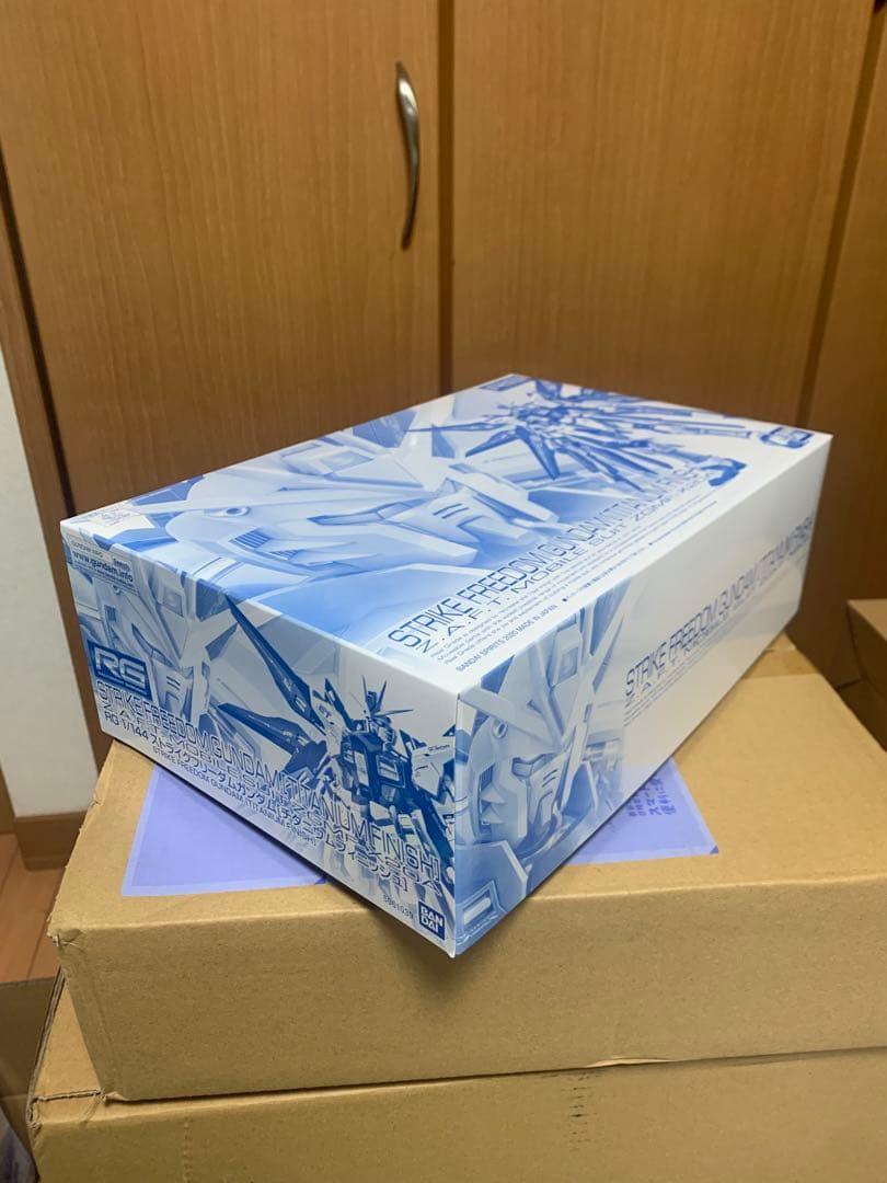 プレミアムバンダイ限定　RG ストライクフリーダムガンダムチタニウムフィニッシュ