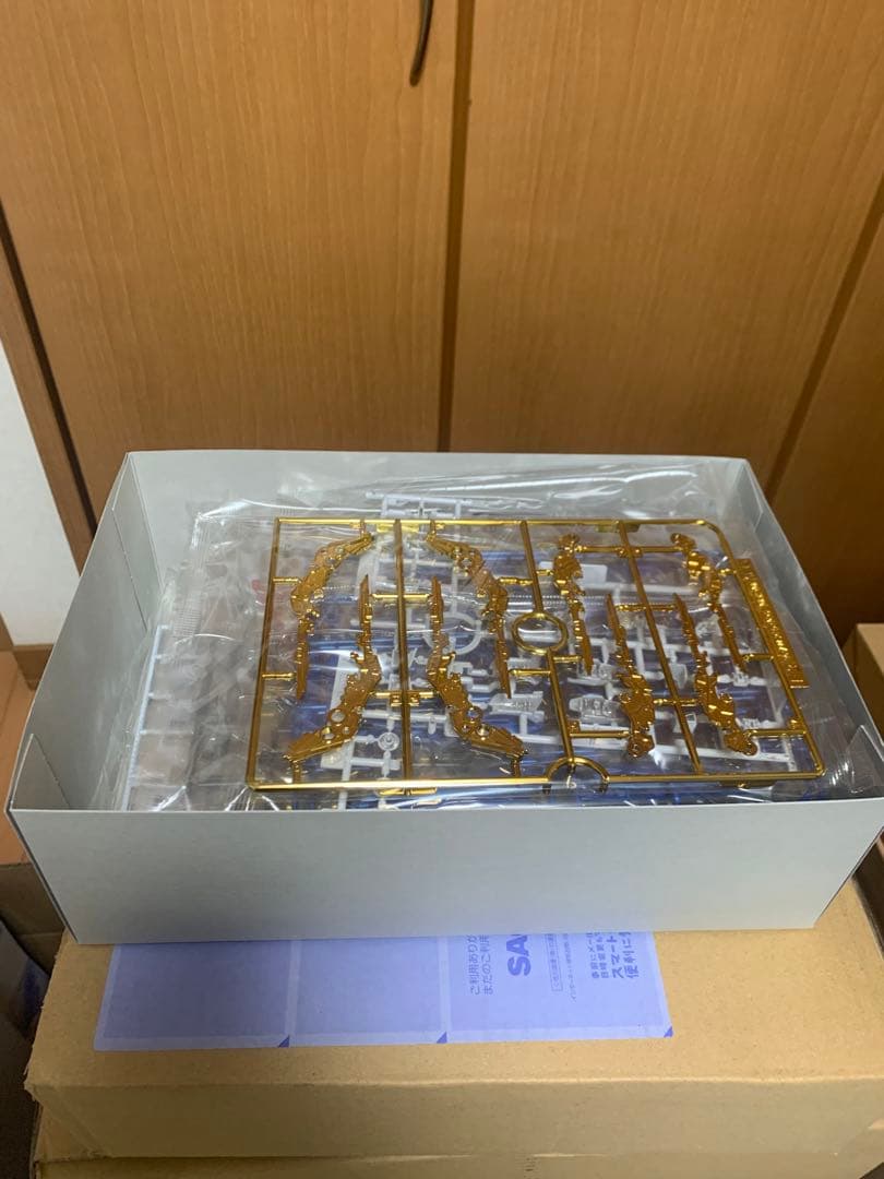 プレミアムバンダイ限定　RG ストライクフリーダムガンダムチタニウムフィニッシュ