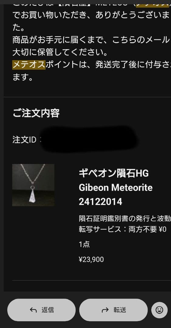 ギベオン隕石　ペンダントトップ