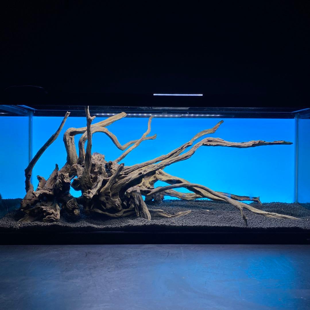 MSRW-6620 天然流木レイアウトセット　スリムウッド　アクアリウム