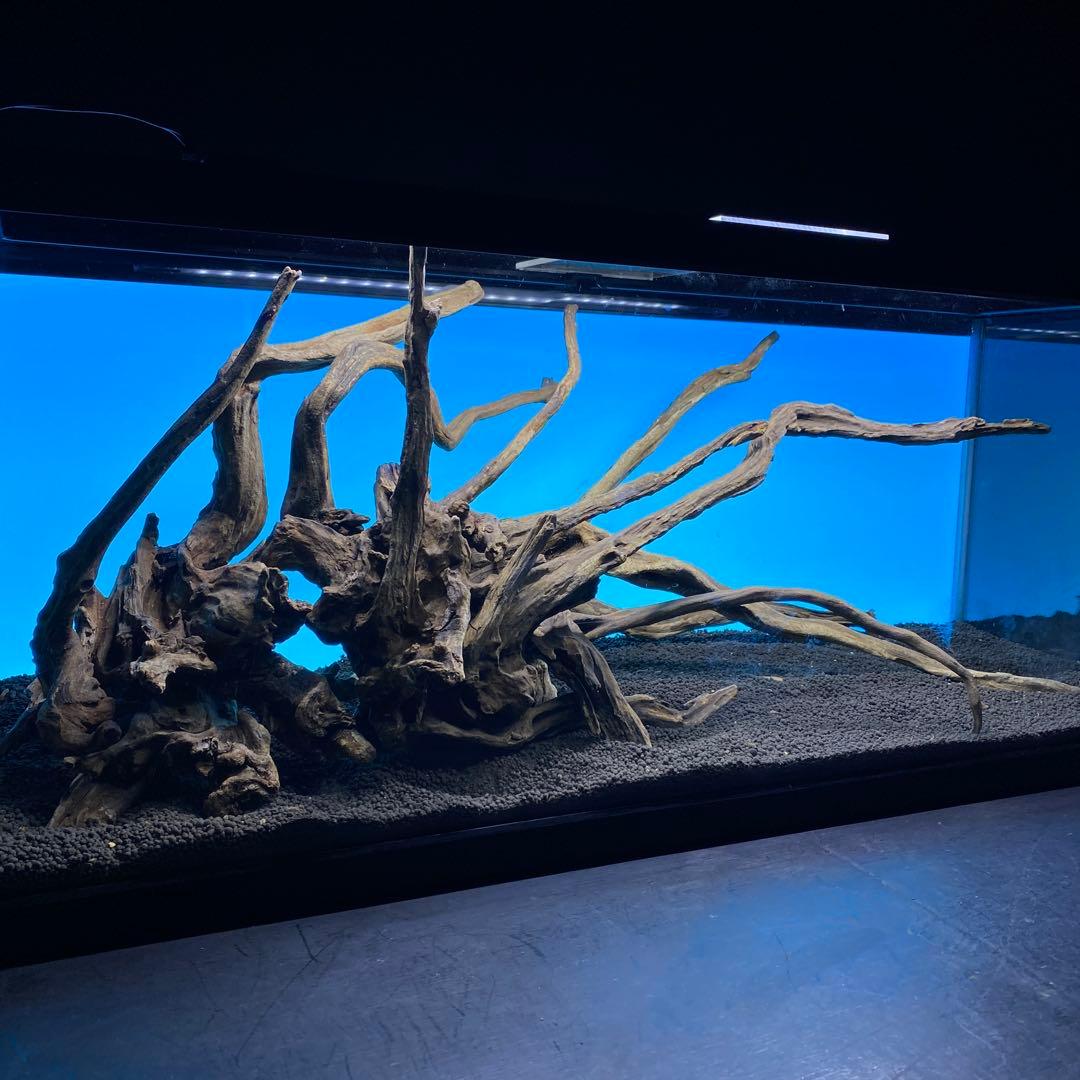 MSRW-6620 天然流木レイアウトセット　スリムウッド　アクアリウム
