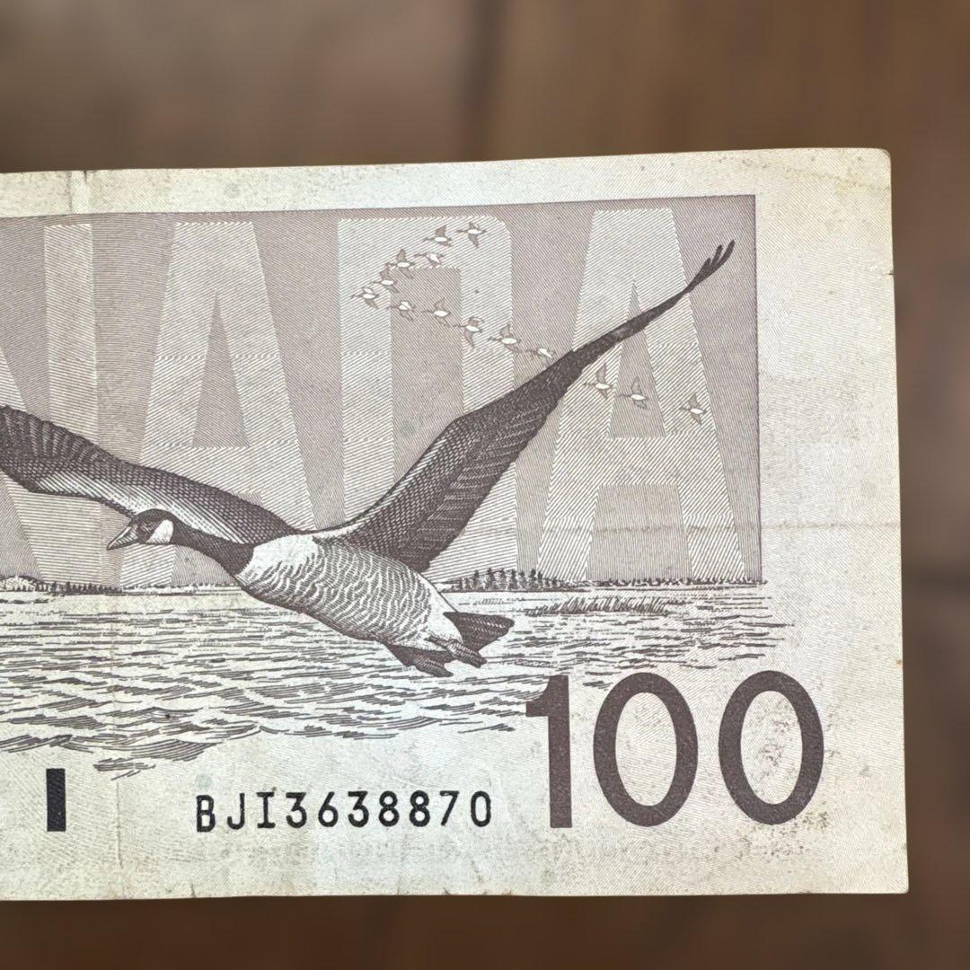 カナダ　$100 一枚
