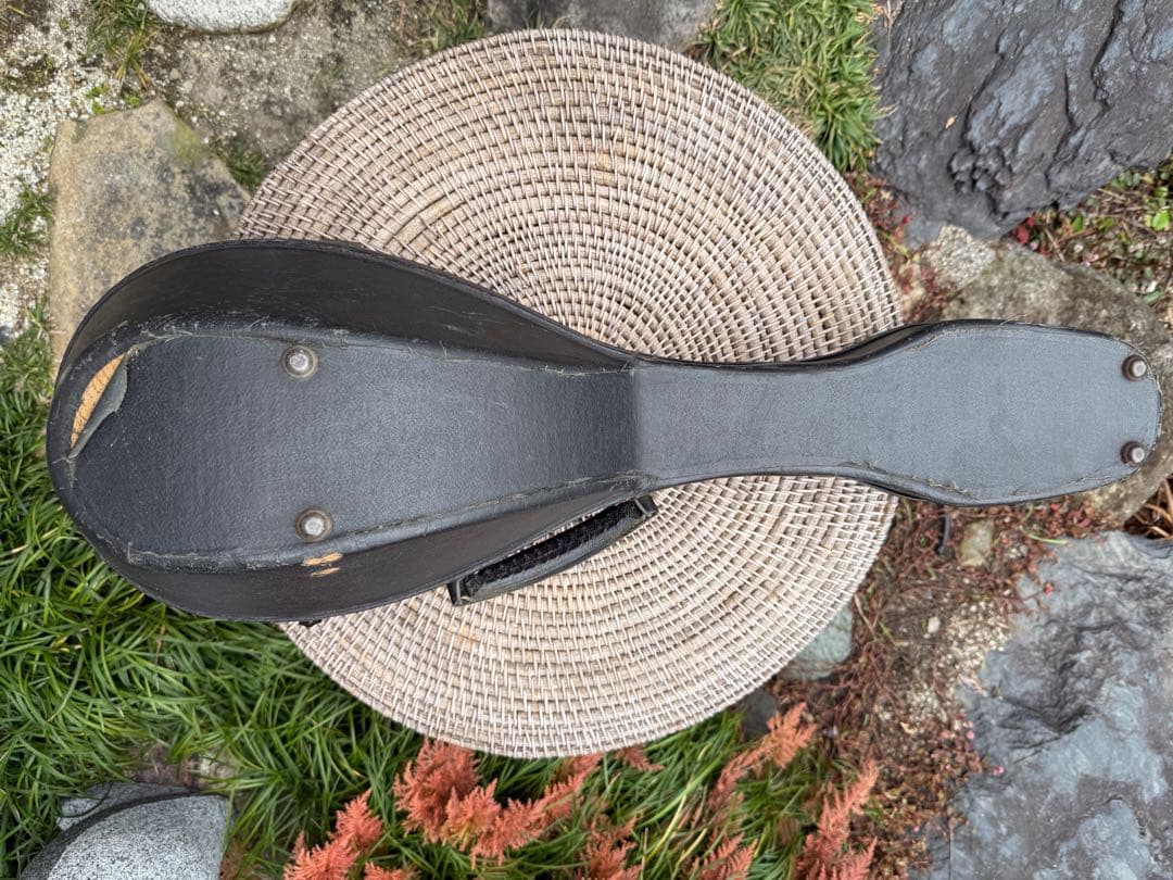 美しいイタリアのマンドリン1915年製G. Puglisi Neapolitan