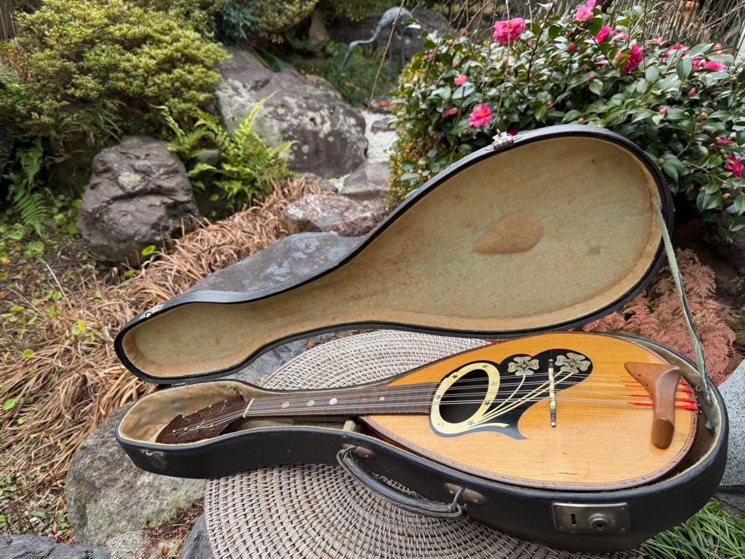 美しいイタリアのマンドリン1915年製G. Puglisi Neapolitan