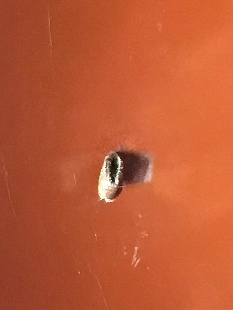 陣笠　丸に違い鷹の羽紋