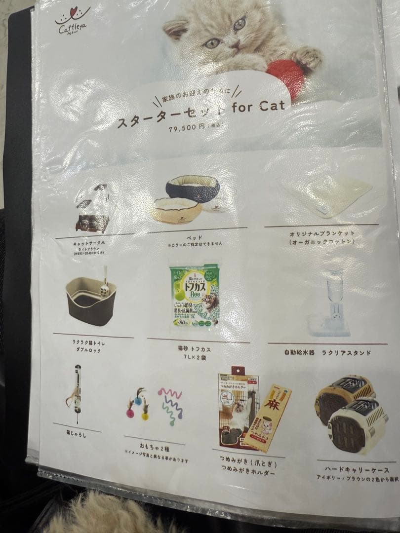 スターターセット for Cat