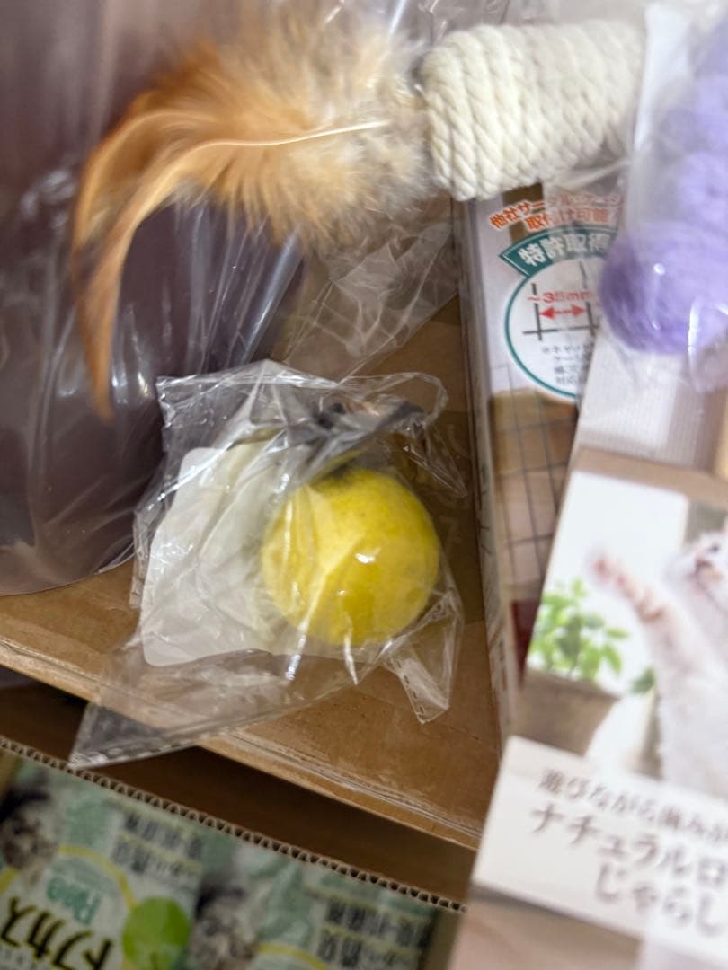 スターターセット for Cat