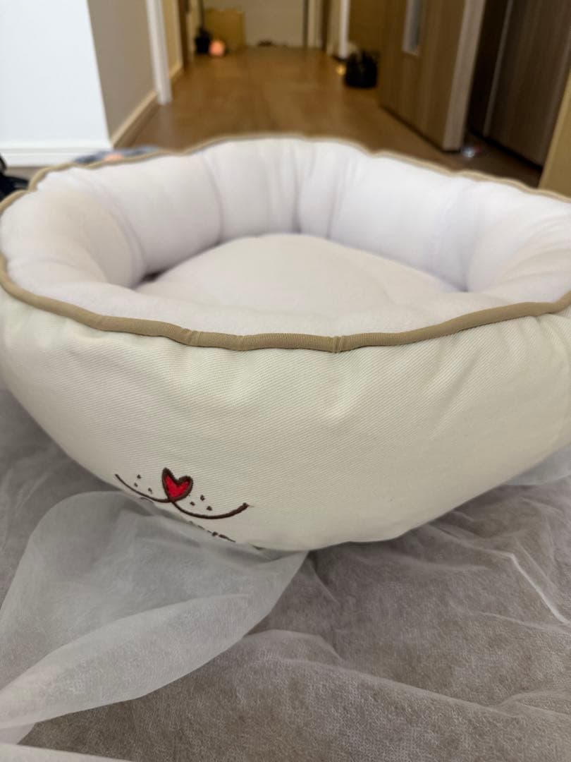 スターターセット for Cat