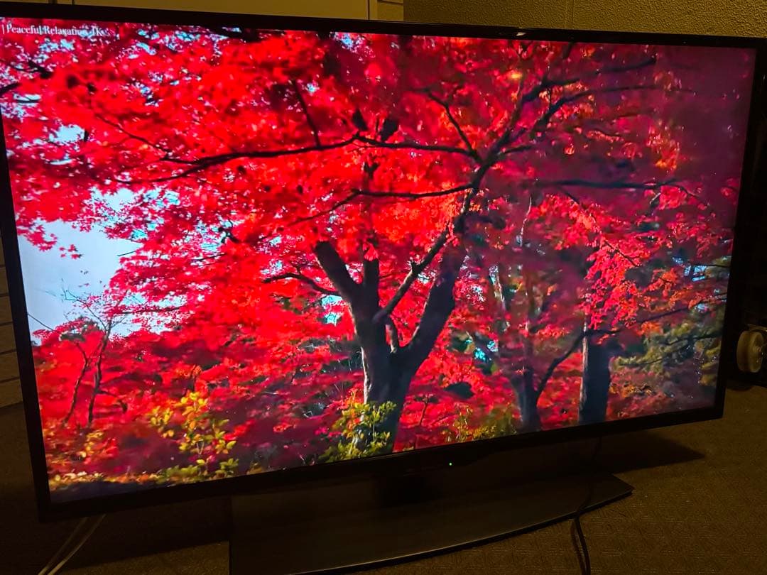 シャープ 40V型 4K液晶テレビ AQUOS 4T-C40BJ1 動画アプリ○