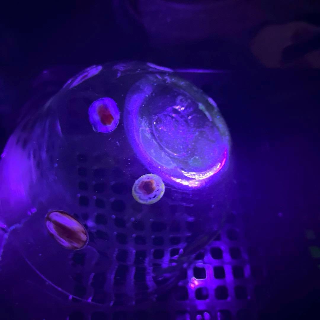 骨董　時代ガラス　超希少　花象嵌　反り口碗型　氷鉢　氷コップ　１客