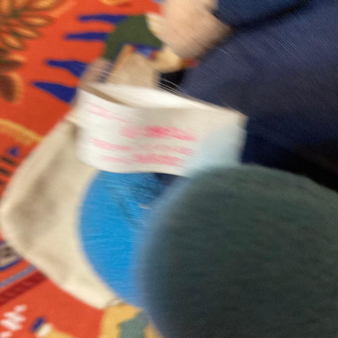 ぬいぐるみ　ど根性ガエル　五郎　GORO ごろう　ゴロー　ピョン吉ヒロシでやんす