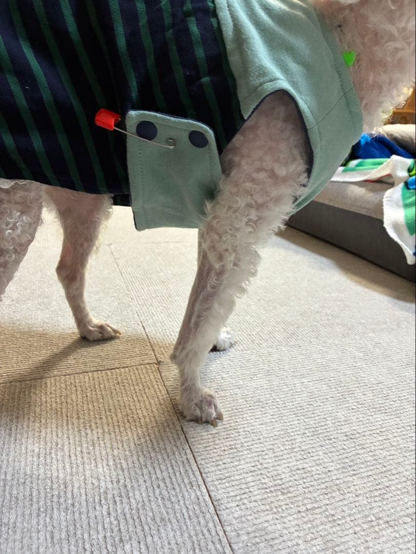 リリーさま専用