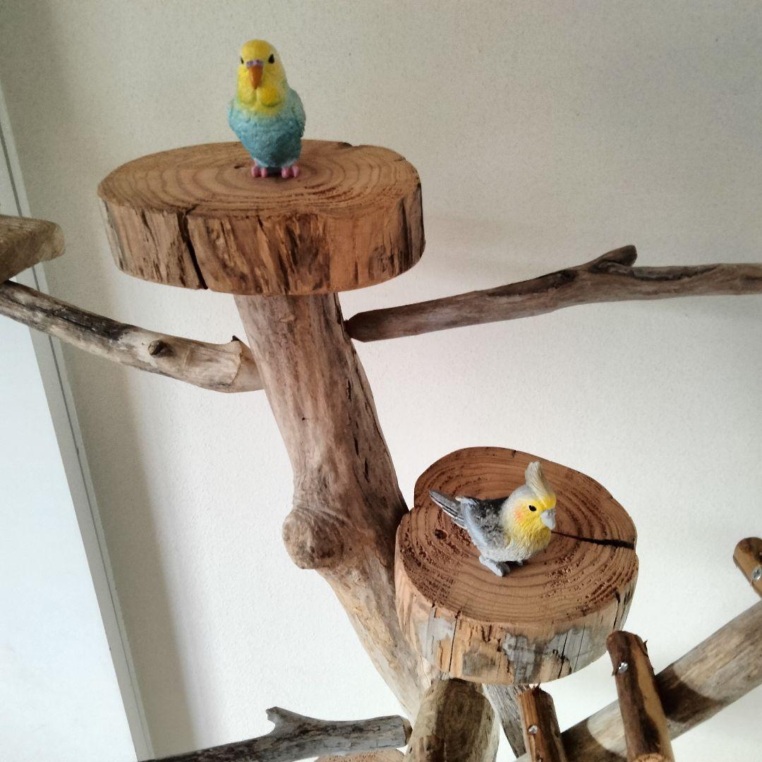 バードアスレチックジム大型 ㊹ 天然木 自然木 流木 止まり木 インコ オウム