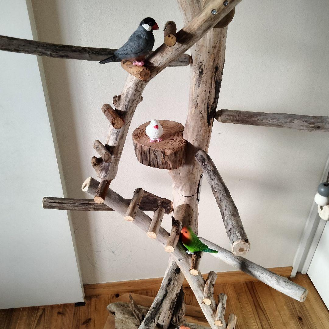 バードアスレチックジム大型 ㊹ 天然木 自然木 流木 止まり木 インコ オウム