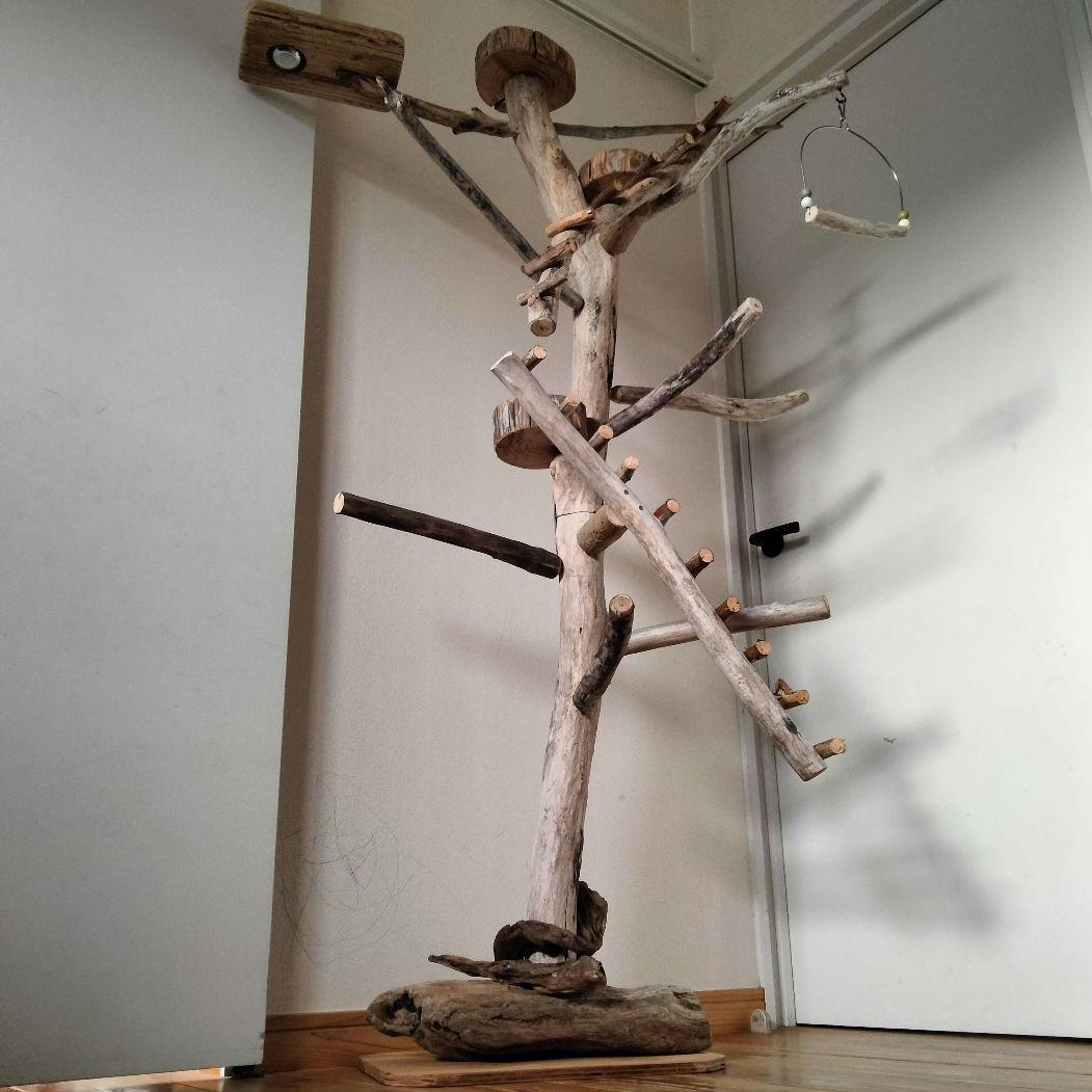 バードアスレチックジム大型 ㊹ 天然木 自然木 流木 止まり木 インコ オウム