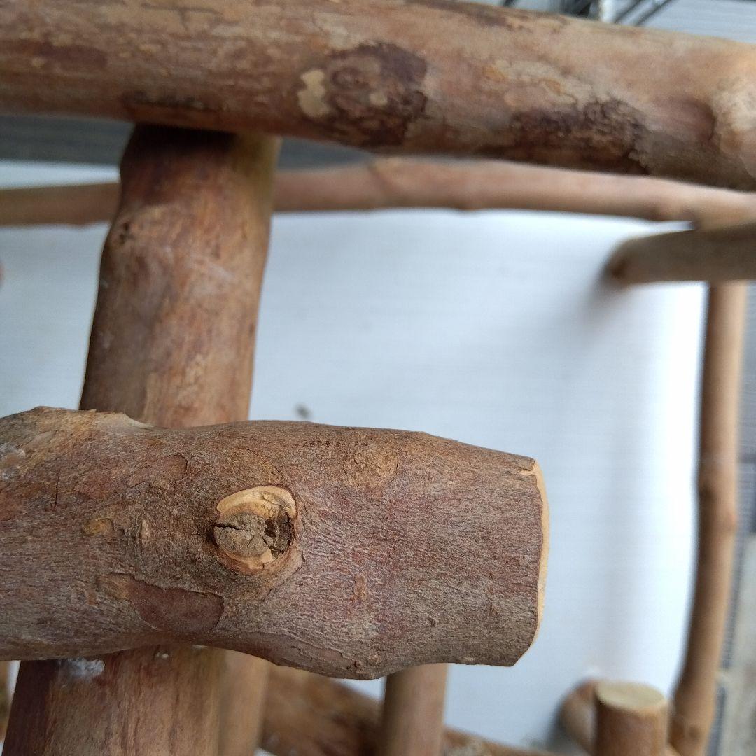 オウム　ヨウム　ハッピーケース木製鳥用スタンド 餌入れ付きバードアスレチック