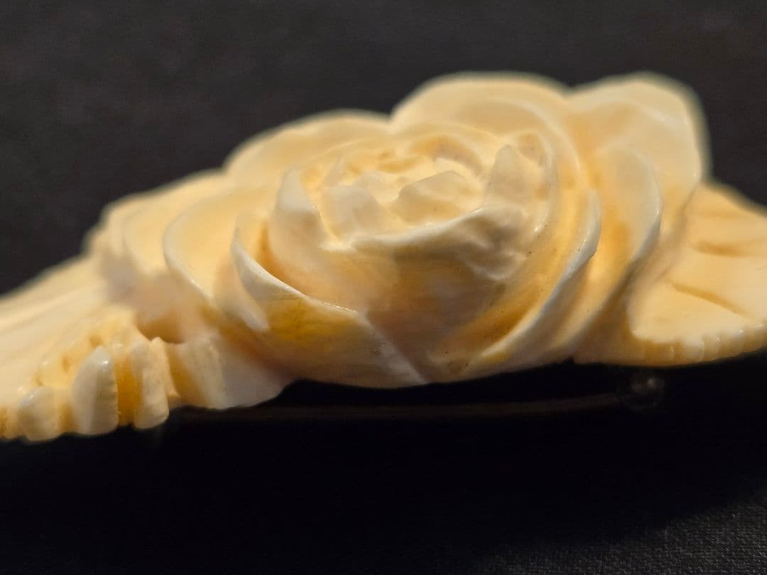 鯨歯x　アイボリー バラ ブローチ 5点セット