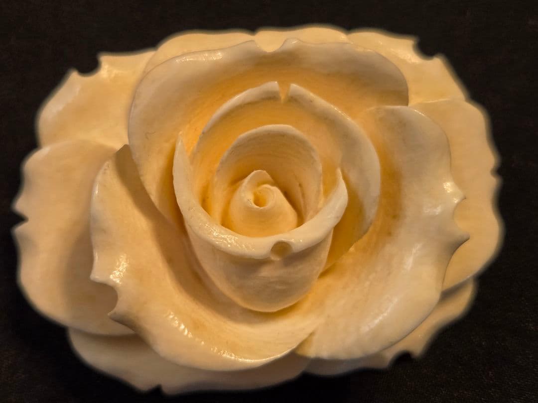 鯨歯x　アイボリー バラ ブローチ 5点セット