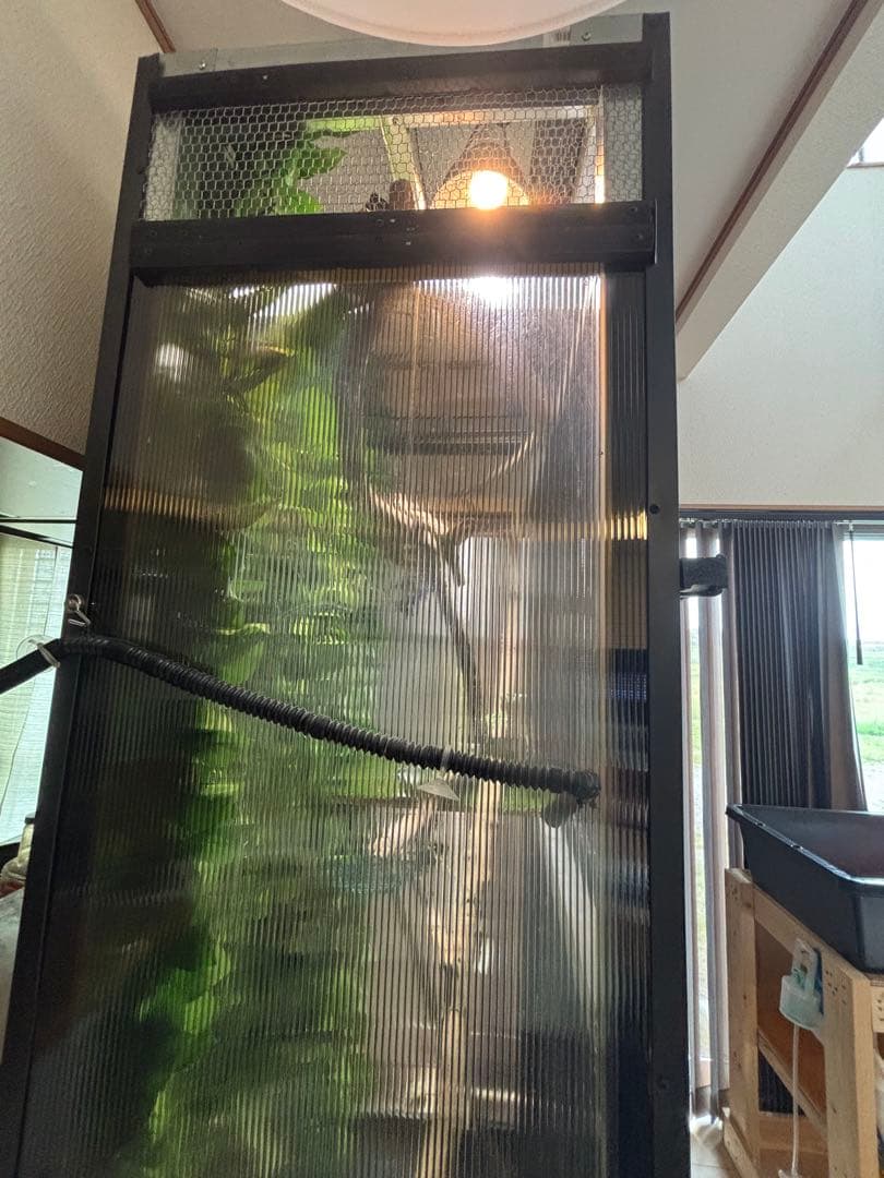 大型爬虫類　中古自作飼育ケージ　運搬可能エリア有り