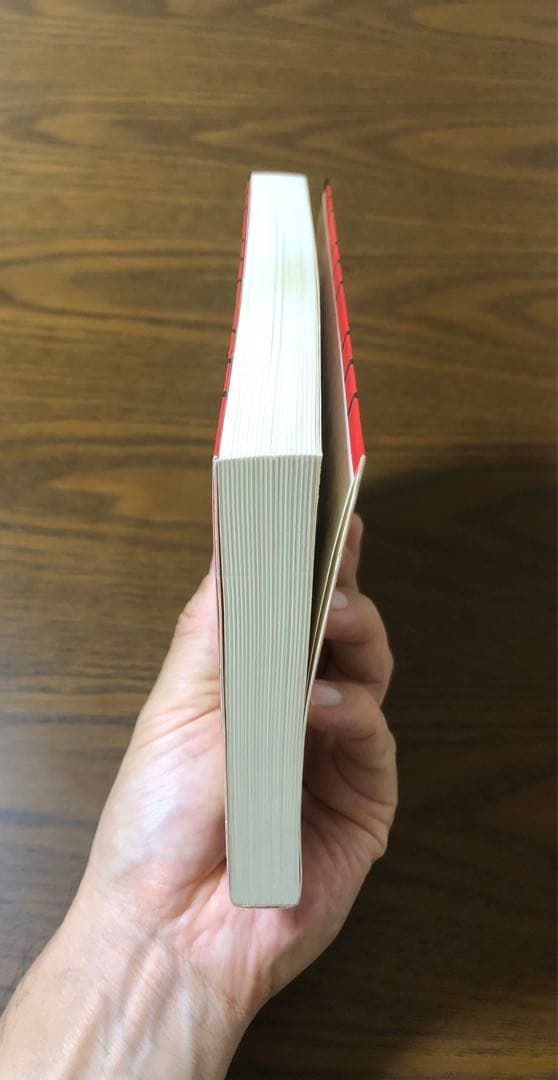 【希少】「新訂 現代易入門 ー開運法ー」井田成明