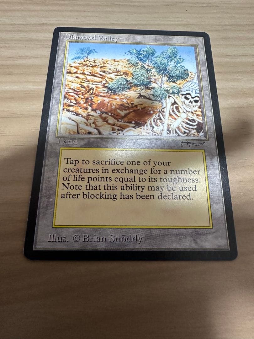 早い者勝ち特価　Diamond Valley 英語　mtg 引退　格安提供