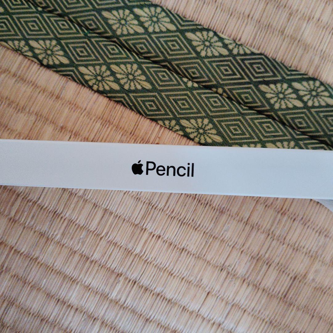 iPadアクセサリー Apple Pencil(USB-C)